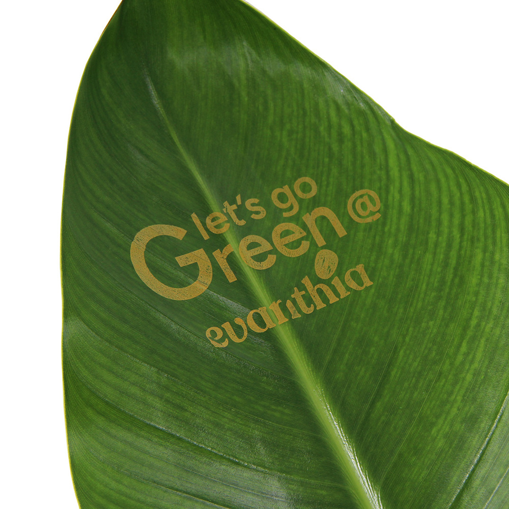 Message Printz® - Strelitzia small